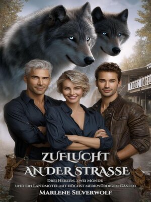 cover image of Zuflucht an der Straße